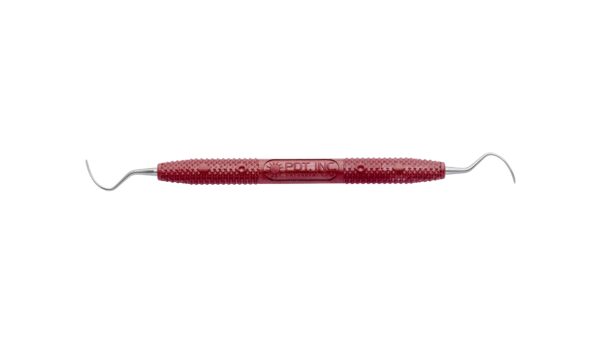 R144 QUEEN OF HEARTS – Bild 5
