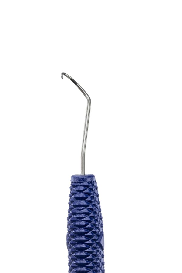 R205 PROBE NABERS 2 DE (9-6-9-12)