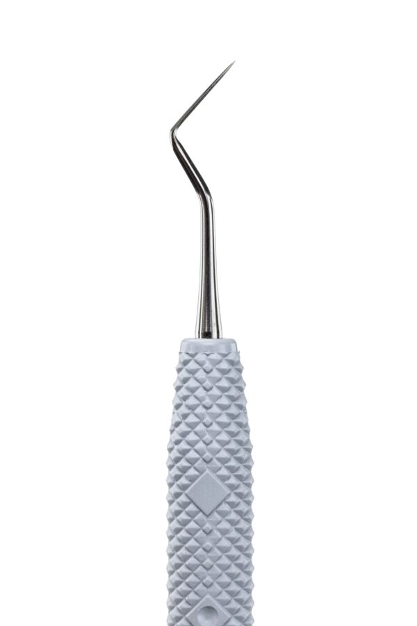 R285 Carver Hollenback 3 – Bild 3
