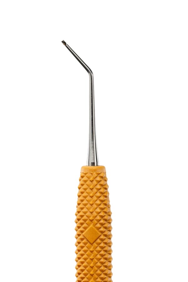 R630 Pineyro Arch™ Ti 1 – Bild 2