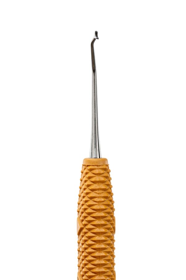 R631 Pineyro Arch™ Ti 2