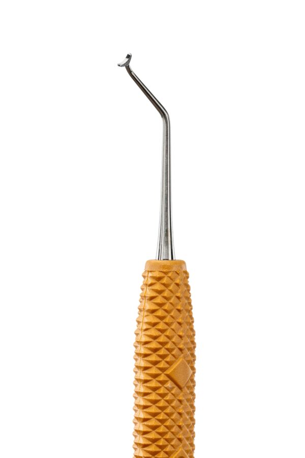 R631 Pineyro Arch™ Ti 2 – Bild 2